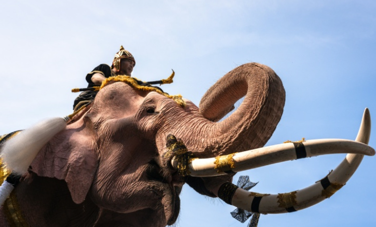 Gajah Merah Muda Berbaris untuk Mendiang Ibu Suri Thailand